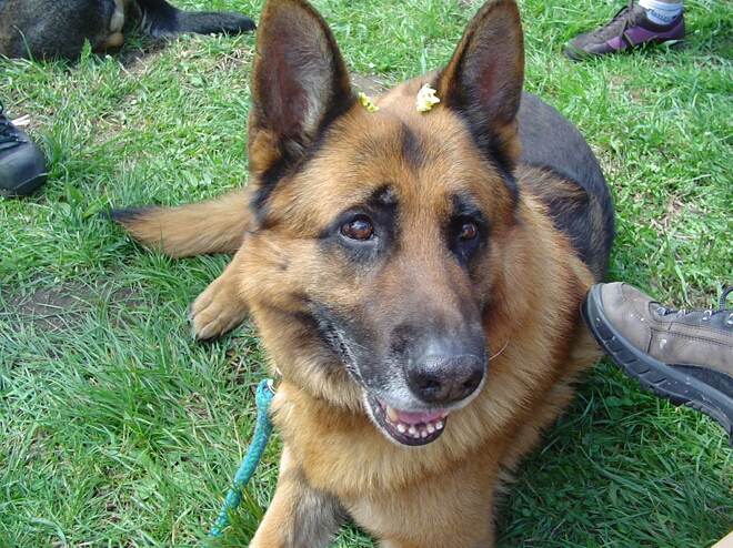 Click to See Next Image