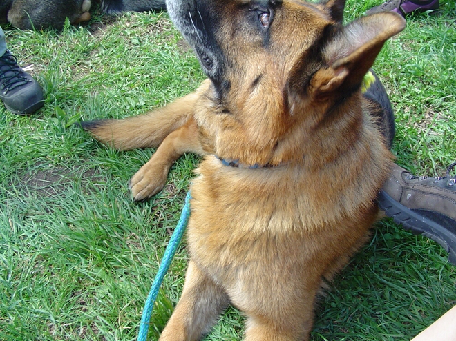 Click to See Next Image