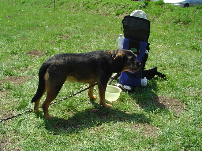 Click to See Next Image