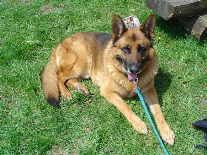 Click to See Next Image