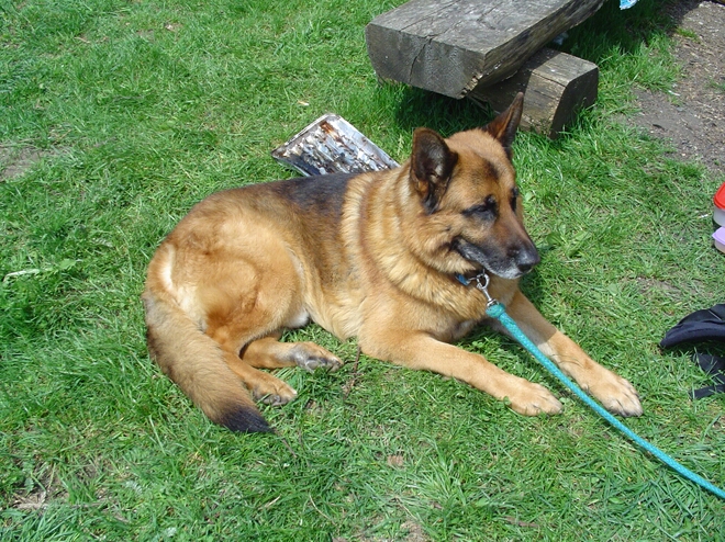 Click to See Next Image