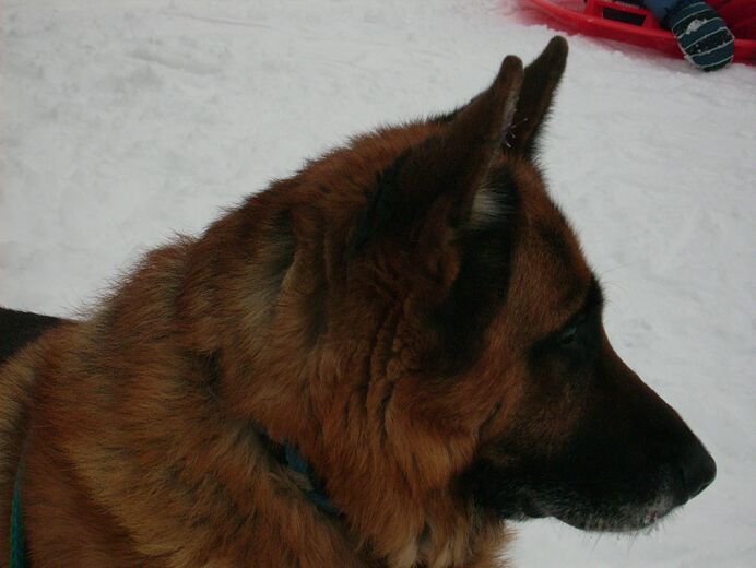 Click to See Next Image