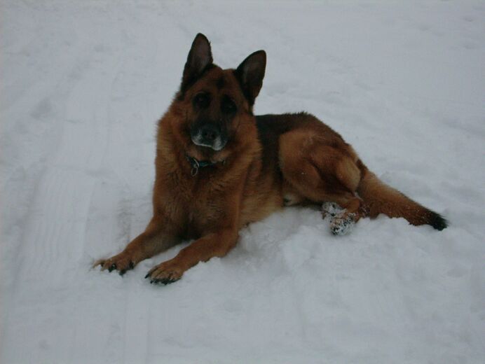 Click to See Next Image